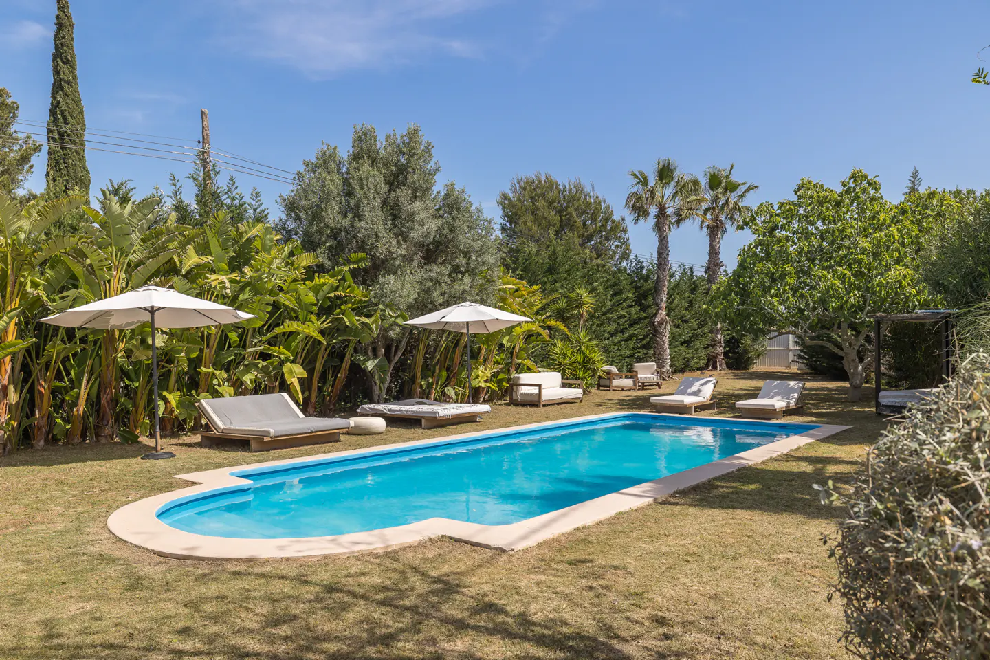 A backyard with a blue swimming pool, lounge chairs, umbrellas, and green trees under a blue sky.