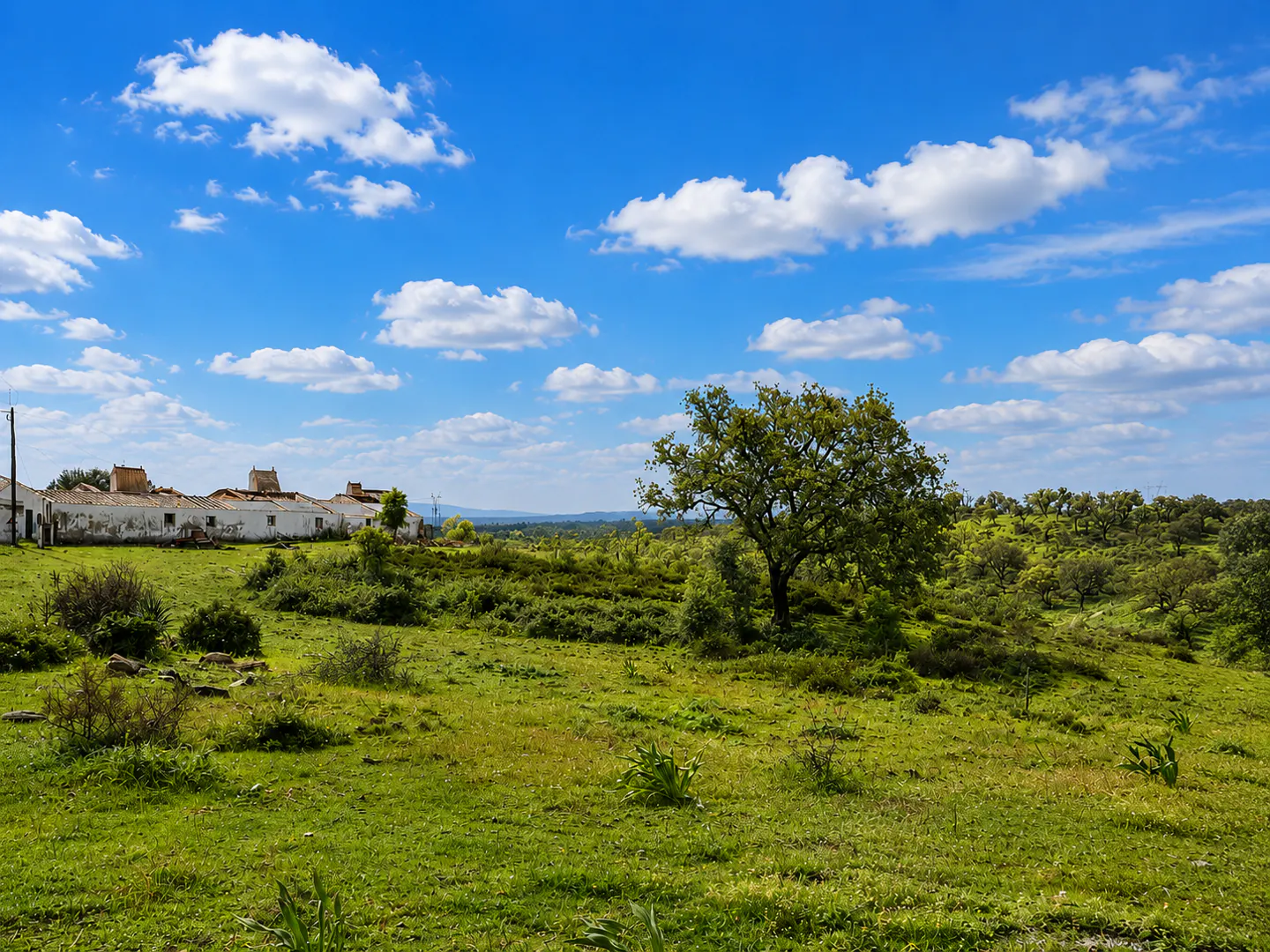 A white farmhouse sits on a grassy hill under a bright blue sky with scattered white clouds and a large tree in the foreground.
