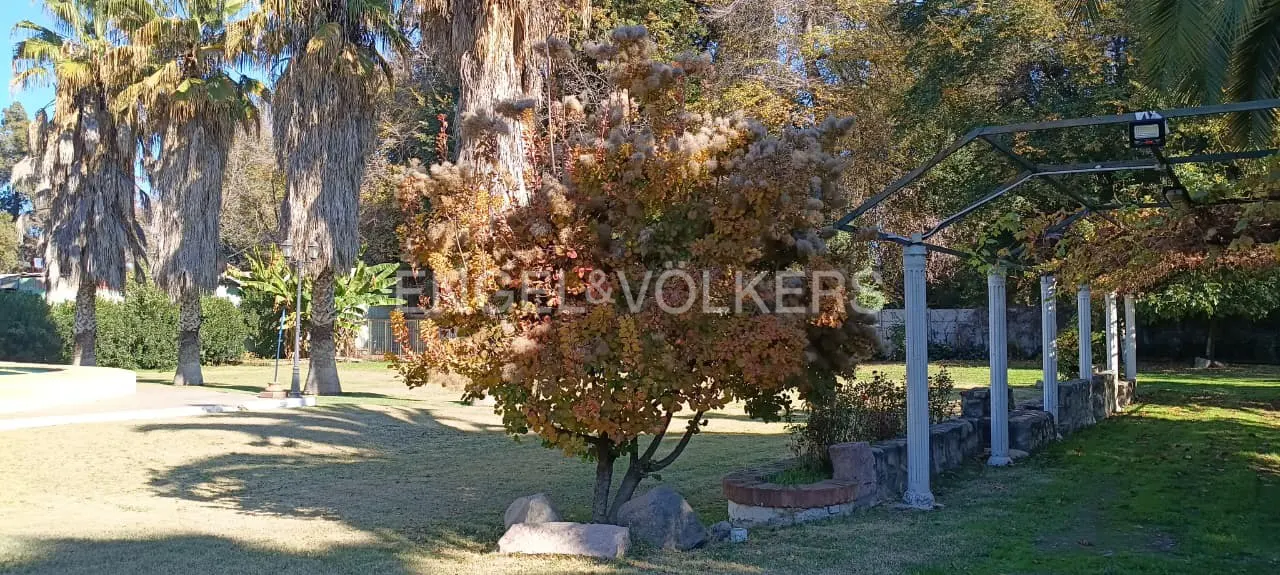Lush green lawn with trees, palms, and a pergola. The Engel & Völkers logo is superimposed on a tree.