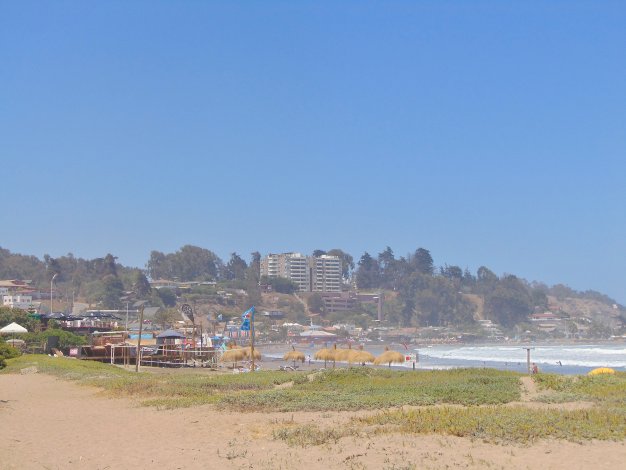 Beach scene with tan sand, green dunes, and blue ocean. Buildings are visible on a hill in the background.