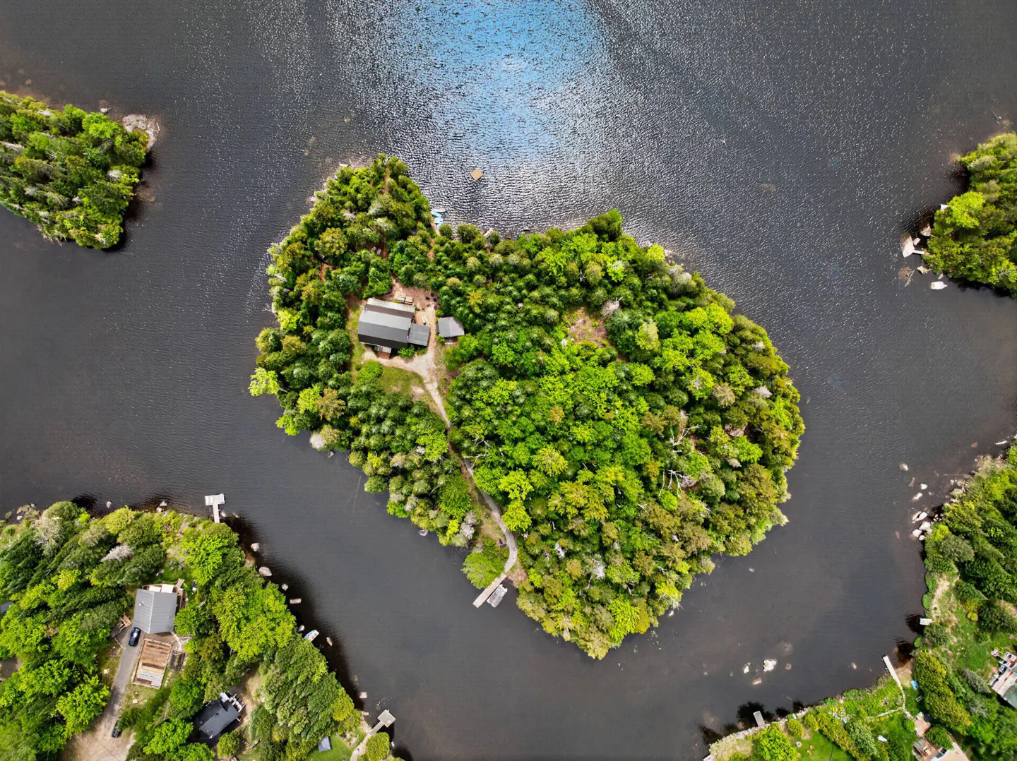 Aerial view of a lush, tree-covered island in a dark lake, featuring a small cabin and a private dock.