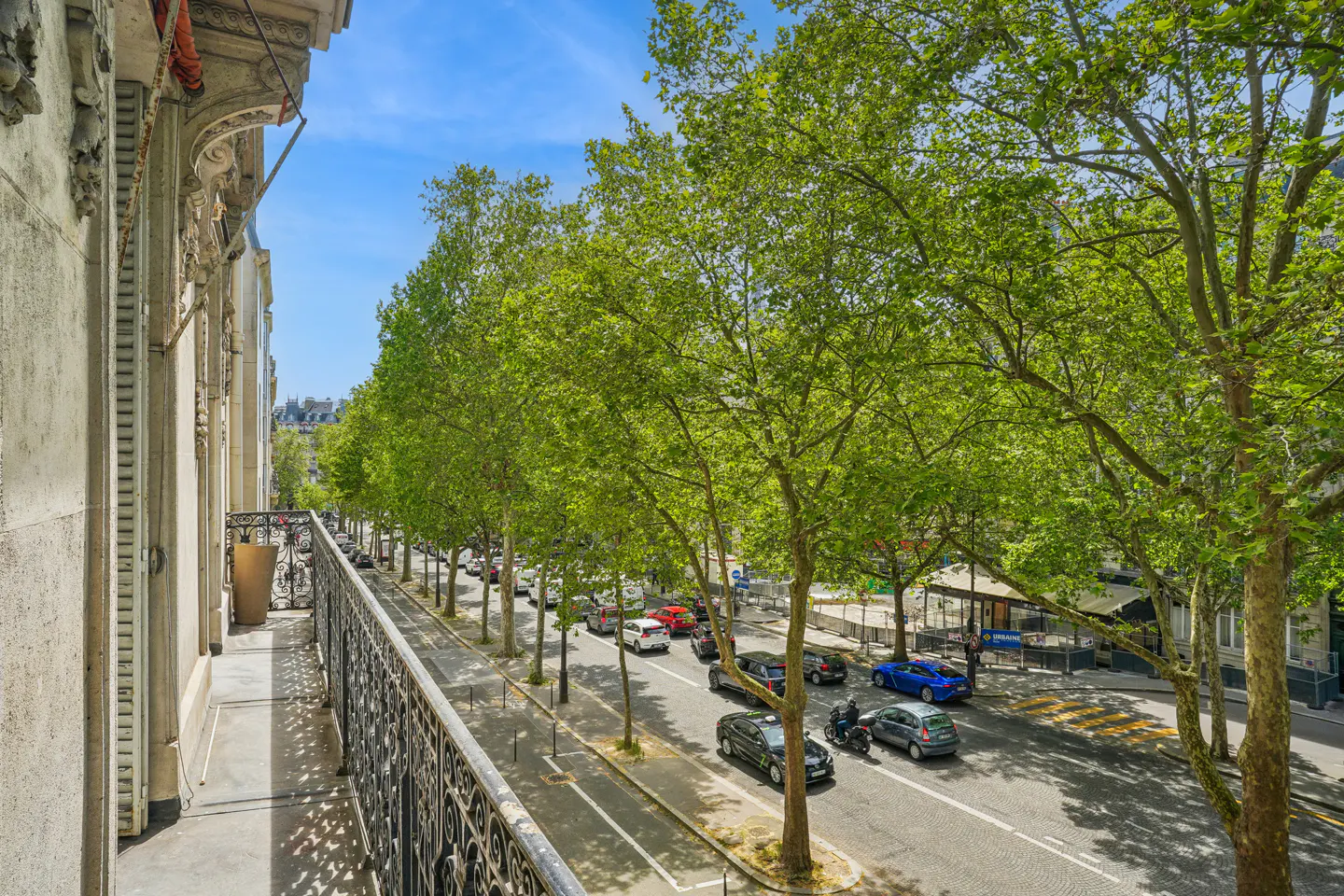 View from a balcony with ornate iron railing overlooking a tree-lined street with cars and a blue sky.