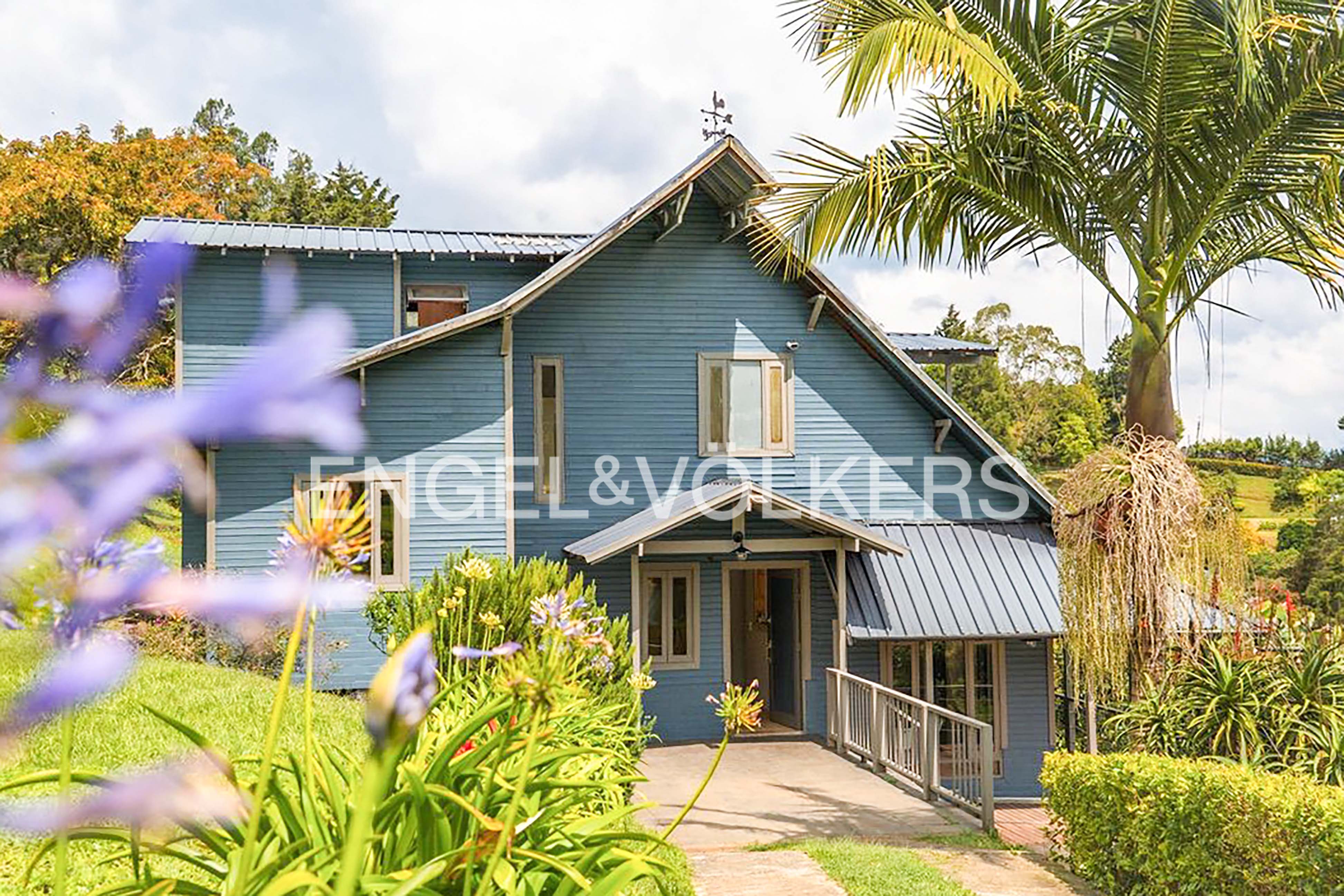 A blue, two-story house with a metal roof, surrounded by lush greenery, a palm tree, and purple flowers in the foreground.