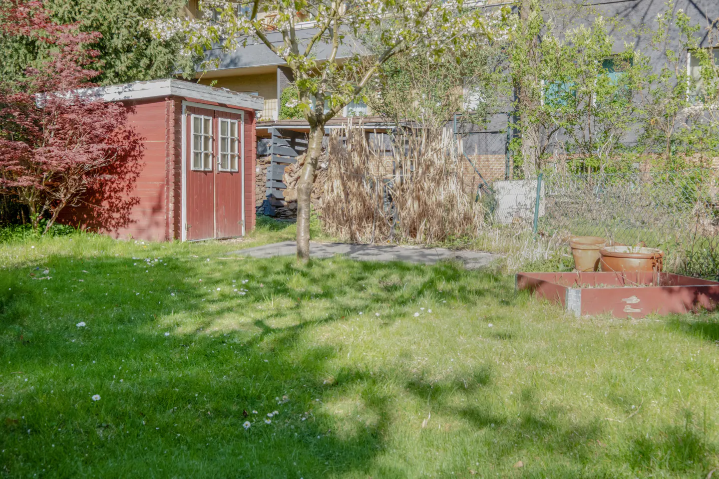 A backyard with a red shed, green grass, a tree, and a red planter box with buckets.