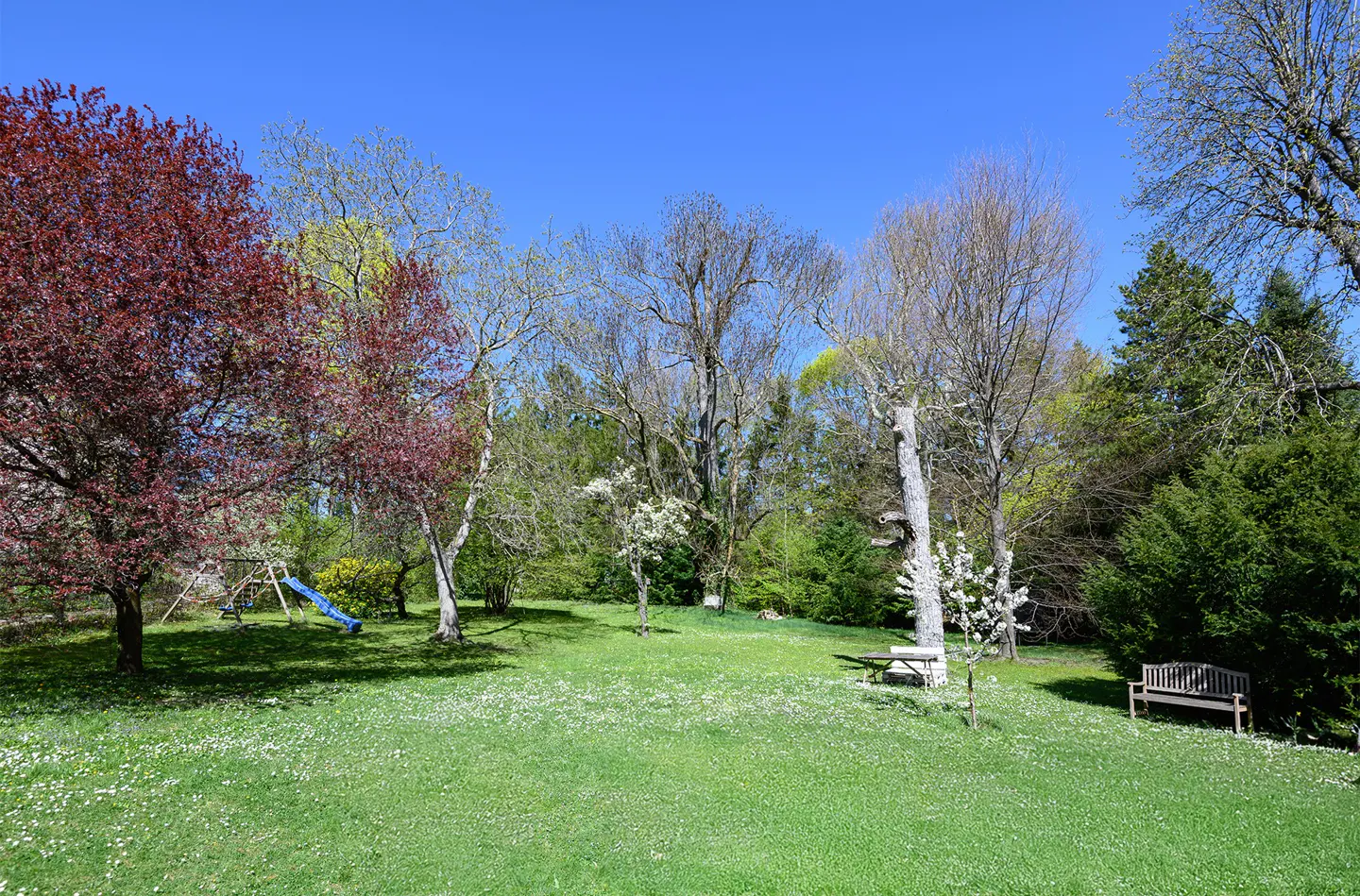 Lush green lawn with trees, benches, and a blue slide under a clear blue sky.