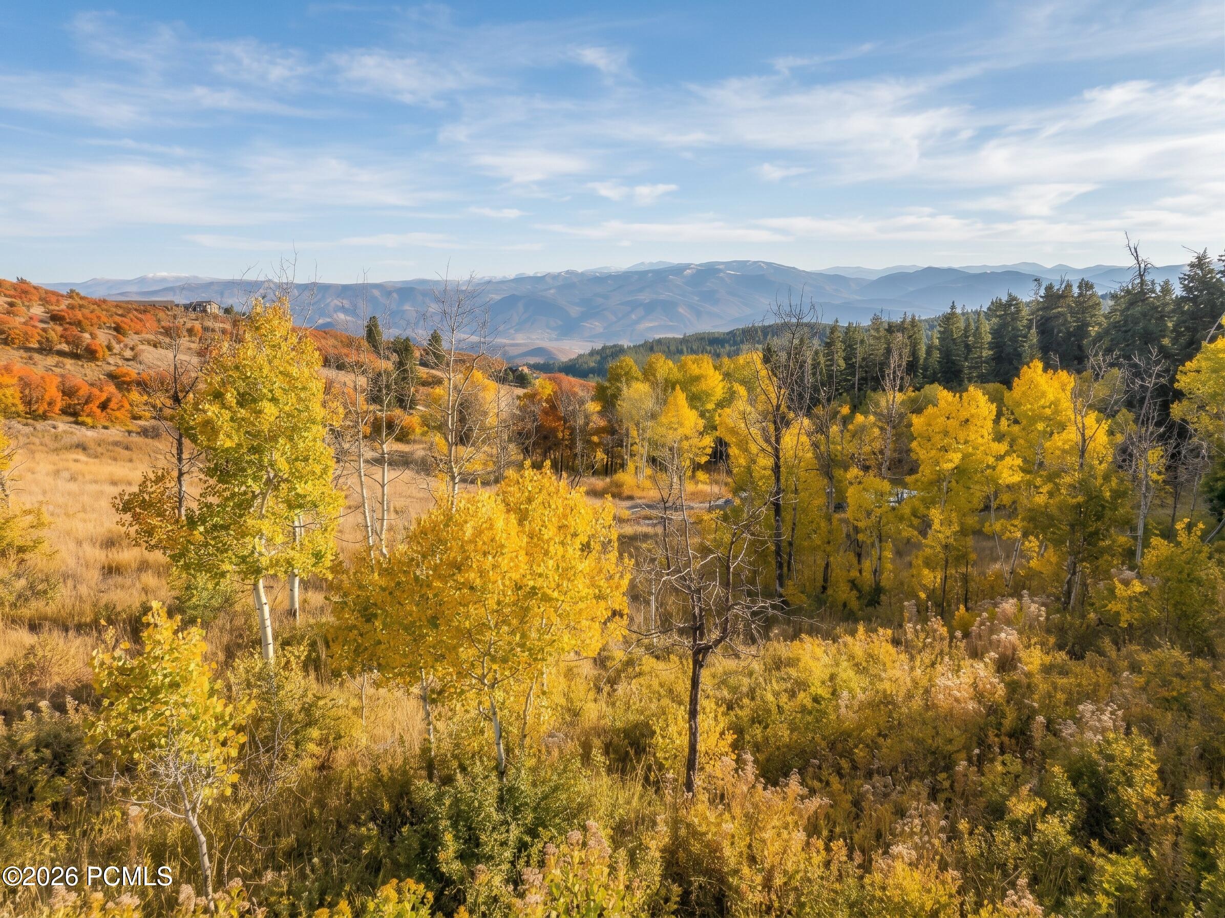 Rare Homesite with 2+ Acres with a Pond and Seasonal Stream
