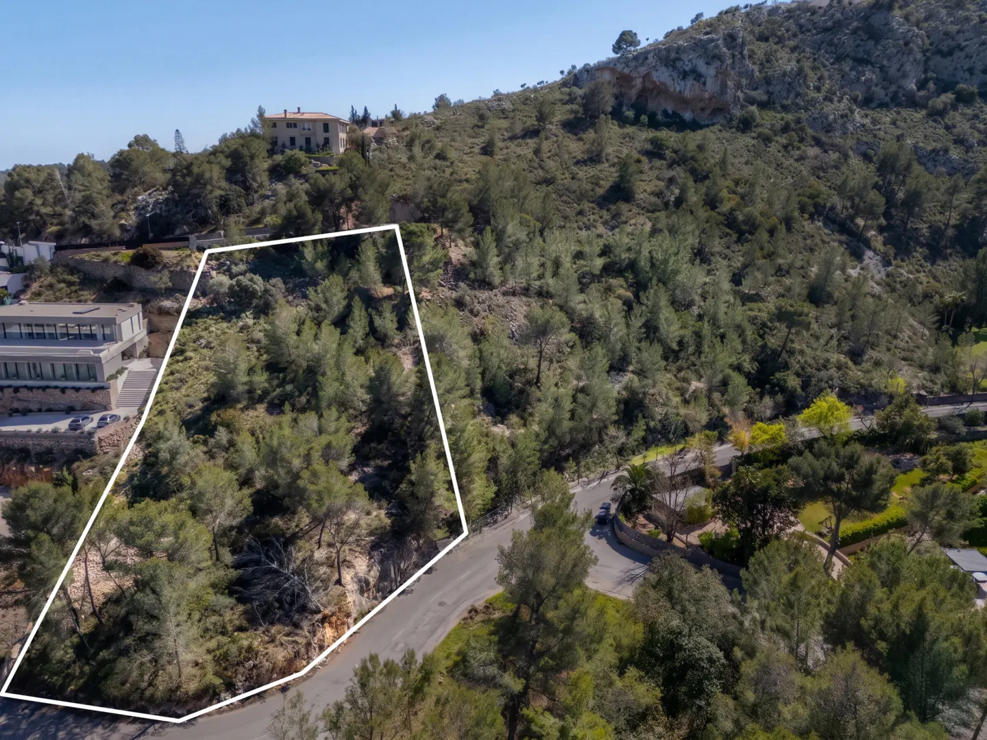Aerial view of a wooded lot outlined in white, on a hillside with a road and buildings nearby.