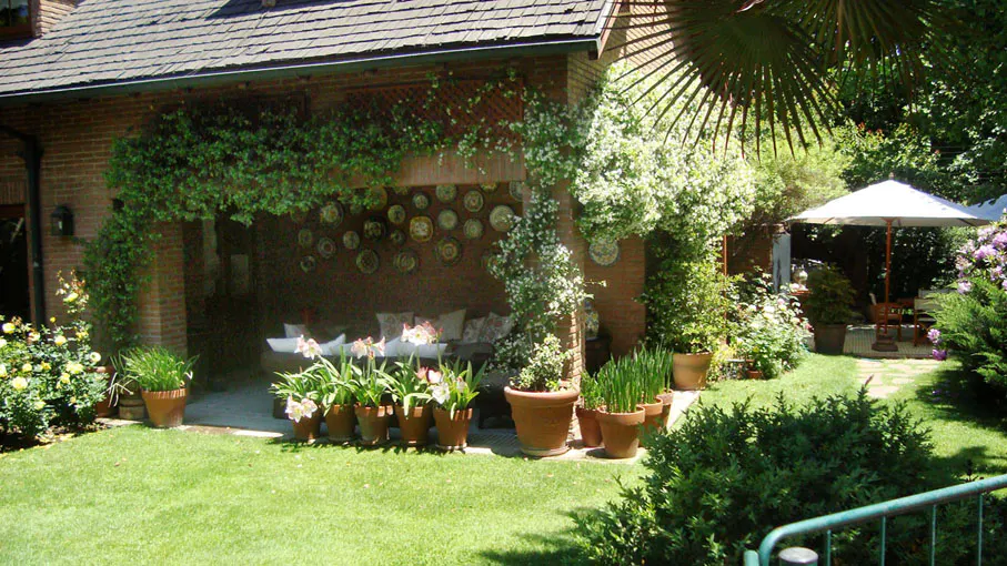 Brick patio with climbing vines, potted plants, and a seating area with decorative plates on the wall. A white umbrella and table are visible in the garden.