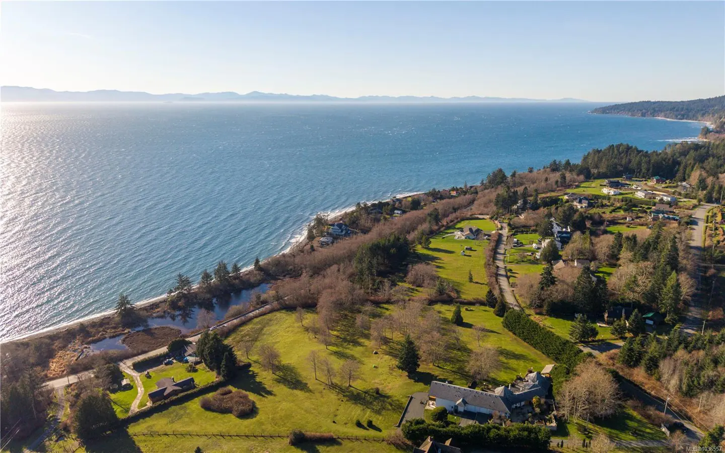 Aerial view of coastal real estate with blue ocean, green lawns, and scattered houses under a clear sky.