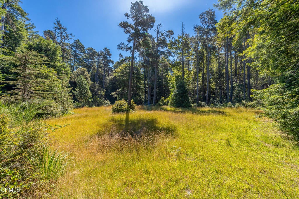 Private Redwood Retreat Minutes from the Mendocino Coast