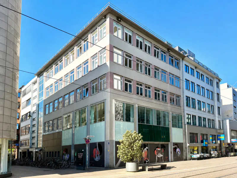 A five-story commercial building with many windows on a sunny day. A tree and bench are in front.