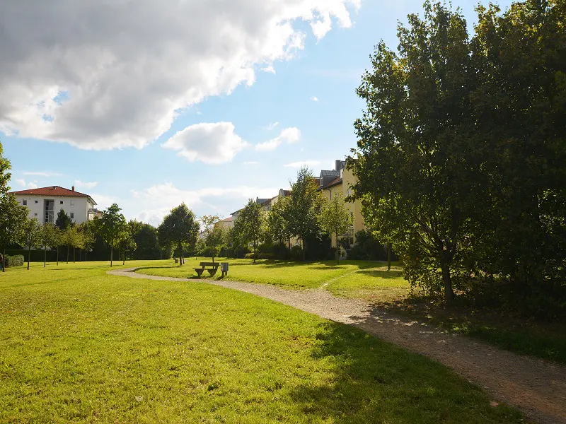 A green park with a walking path, benches, and trees under a blue sky with white clouds. Buildings are visible in the background.