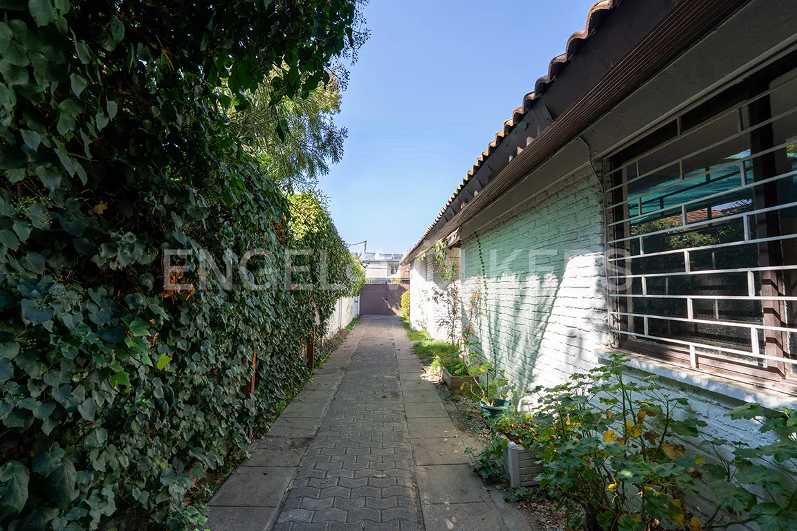 A narrow brick path between a green ivy wall and a white brick building with a barred window.