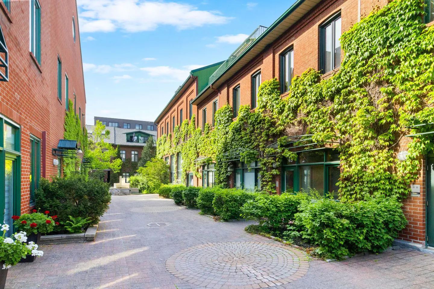 A paved courtyard between red brick buildings covered in lush green ivy under a bright blue sky.