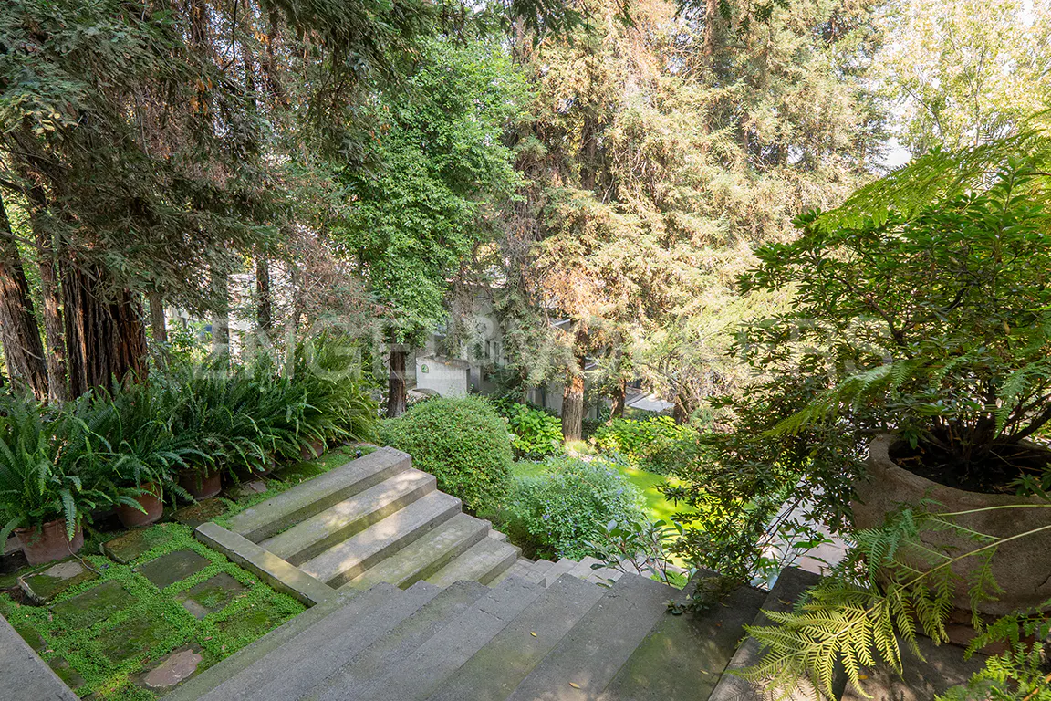 Stone steps lead down into a lush green garden with trees and potted plants.