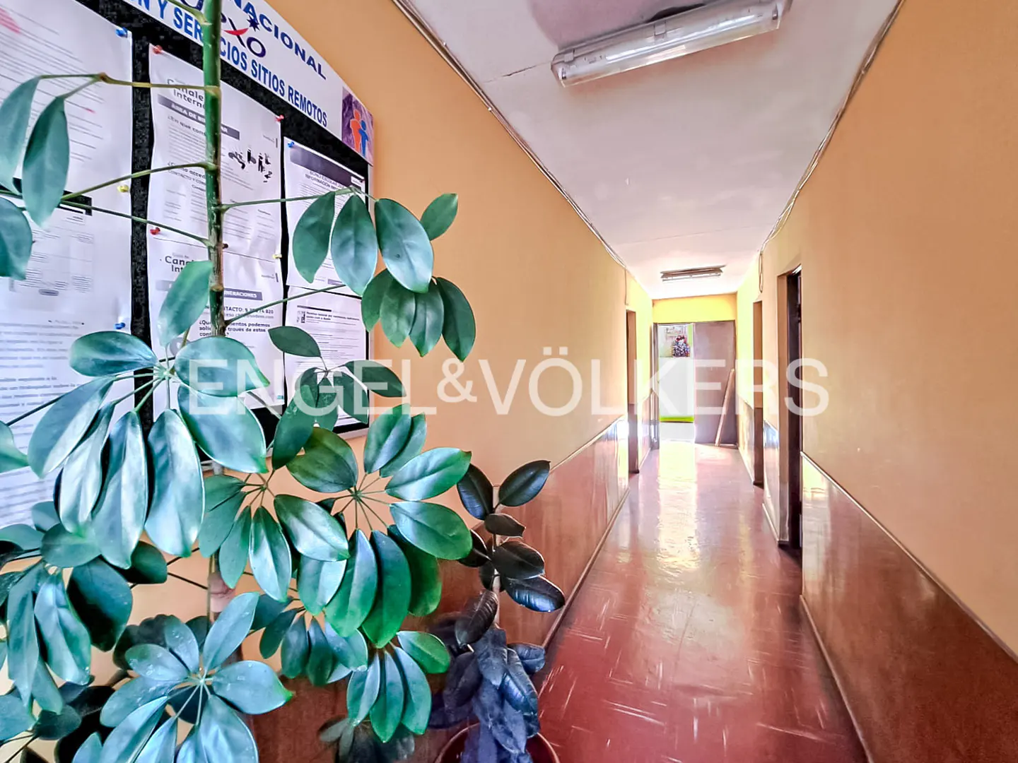 Hallway view with a plant in the foreground, bulletin board on the left, and Engel & Völkers logo.