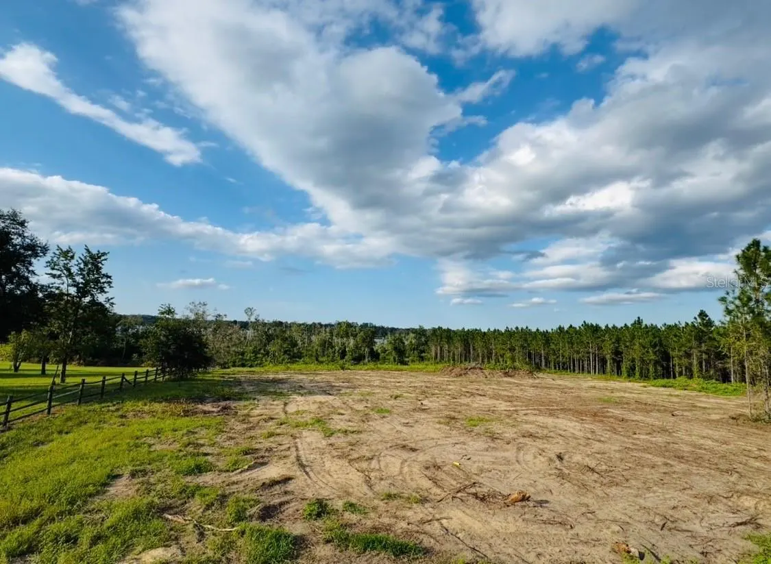 A vacant lot with tire tracks, green grass, and trees under a blue sky with white clouds.