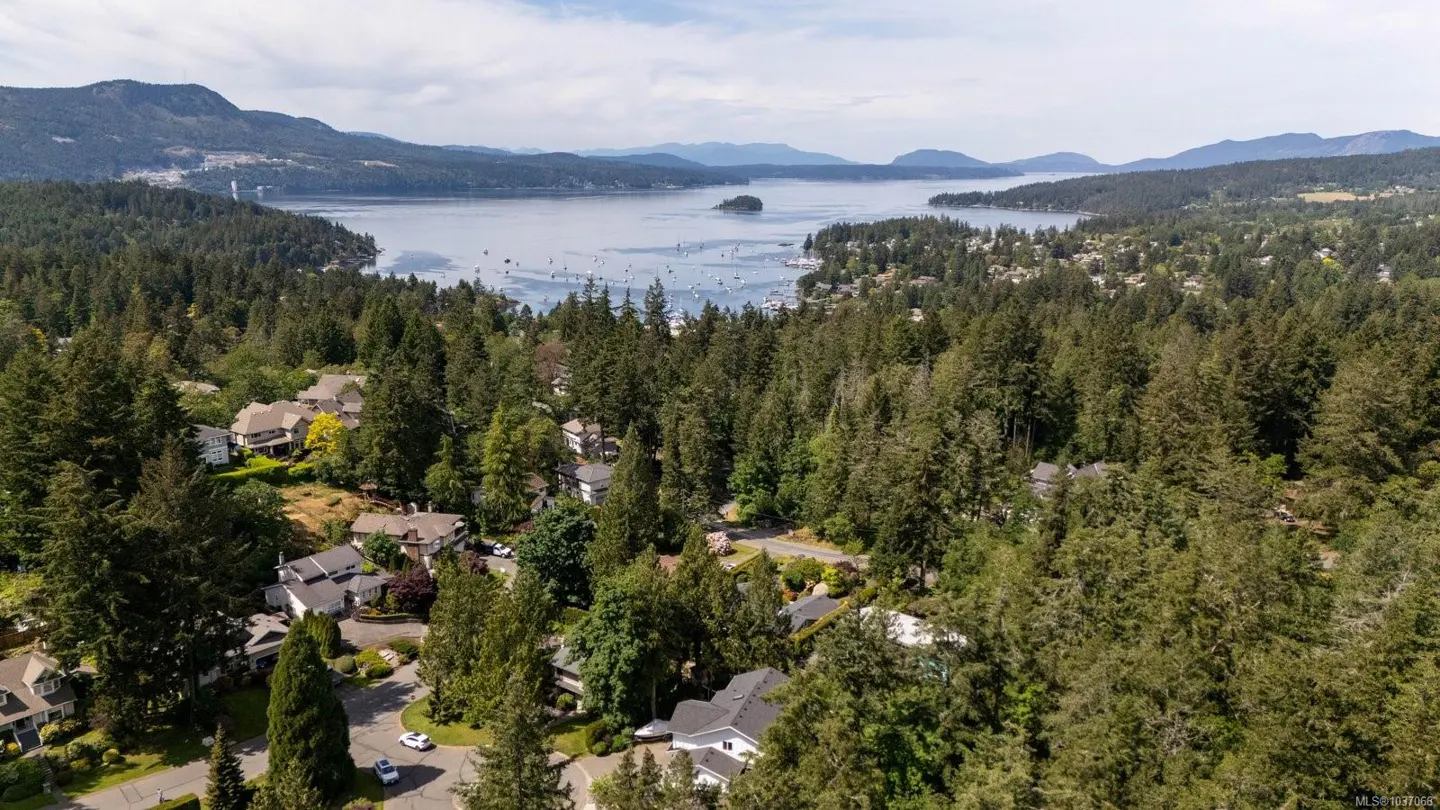 Aerial view of homes nestled among green trees, overlooking a blue bay with mountains in the distance.