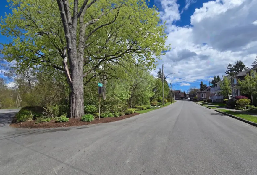 Street view of a quiet neighborhood with houses, trees, and a blue sky with white clouds.