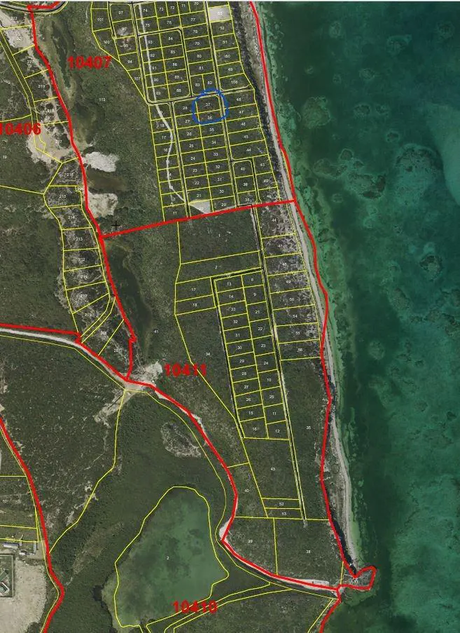 Aerial view of land plots with yellow lines, red borders, and blue highlighted area near the ocean.