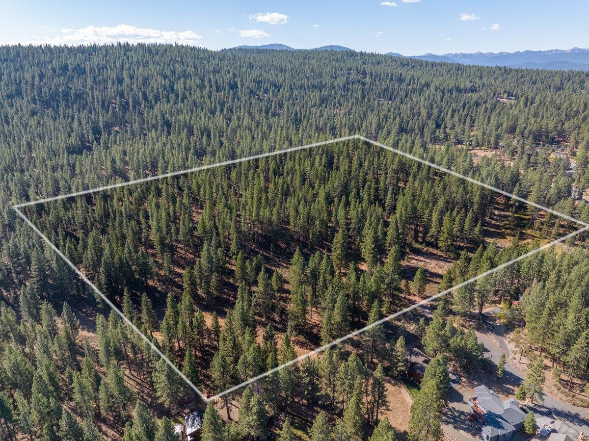 Truckee Land Opportunities in the Beautiful Pine Forest