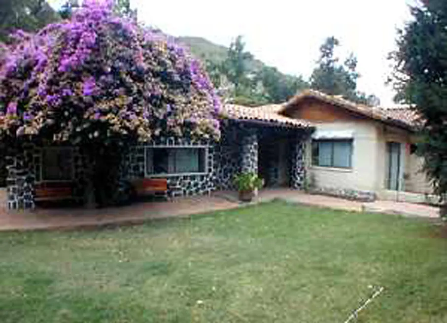 A single-story house with a stone facade and a large purple bougainvillea bush in front. A green lawn extends to the foreground.