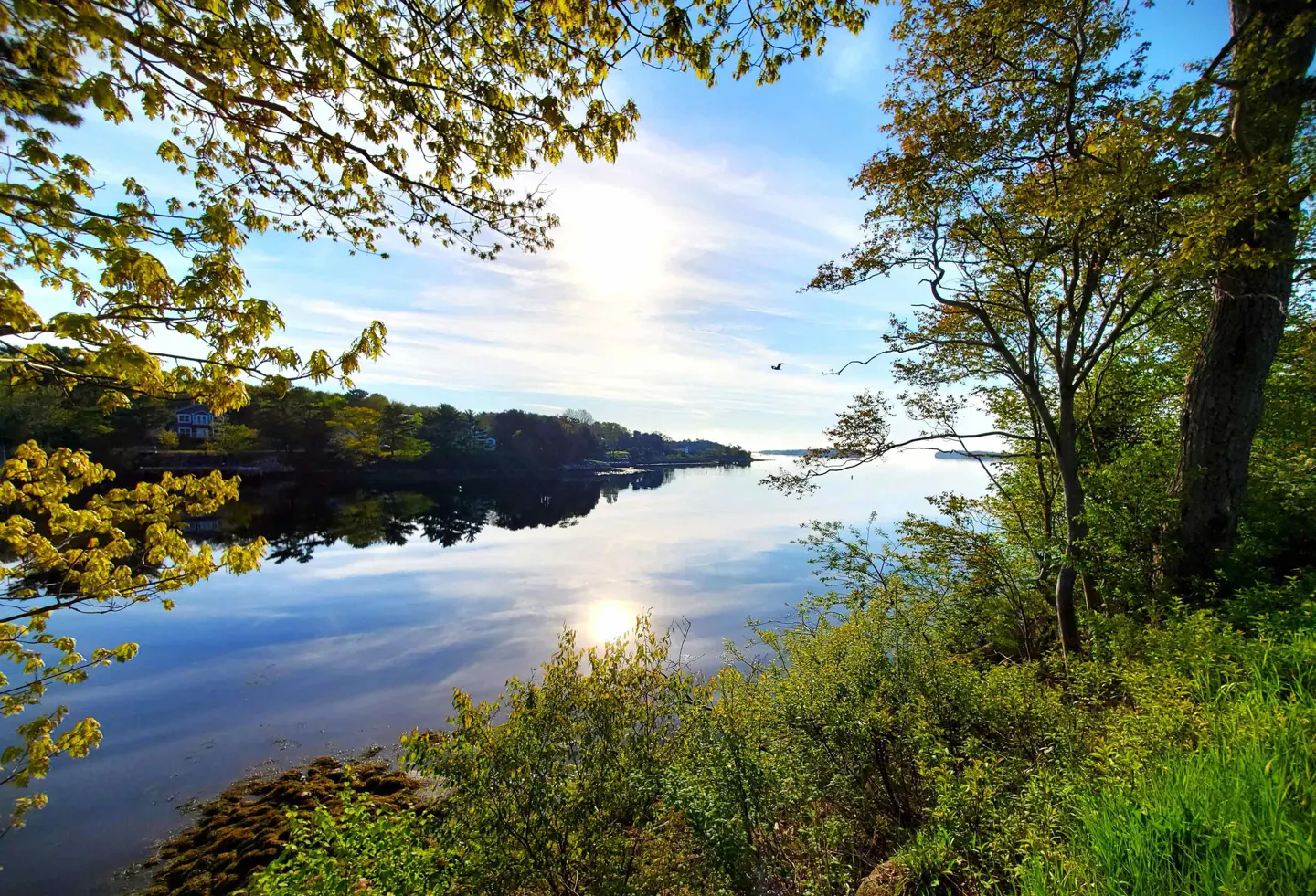 Scenic view of a calm blue river reflecting the sky, framed by green trees and foliage. Sunlight glints on the water's surface.