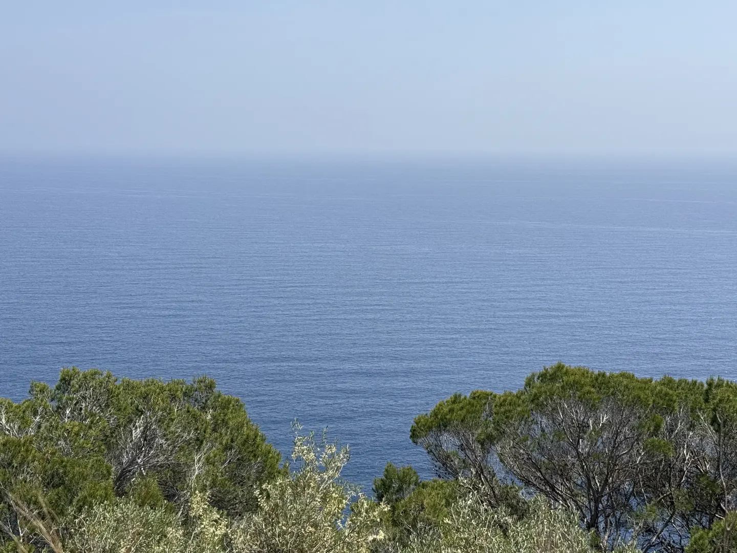 Ocean view framed by green trees. Blue water meets a pale blue sky on the horizon.