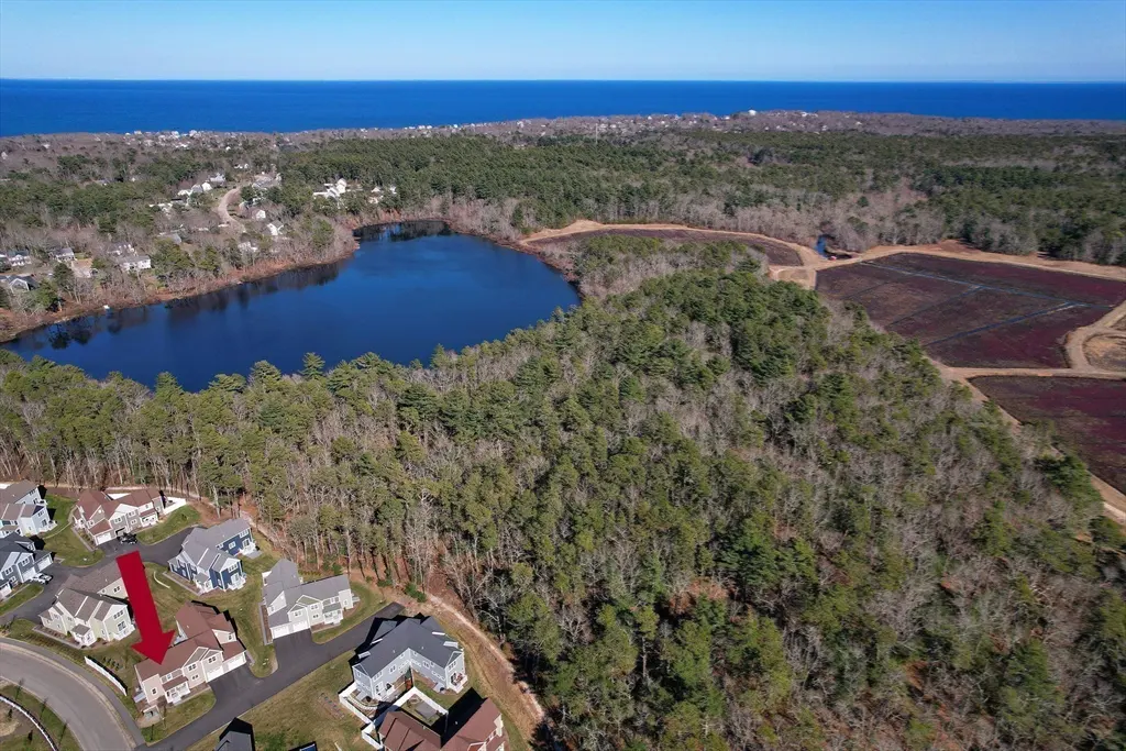 Aerial view of a neighborhood with an arrow pointing to a house, a pond, trees, and the ocean in the background.