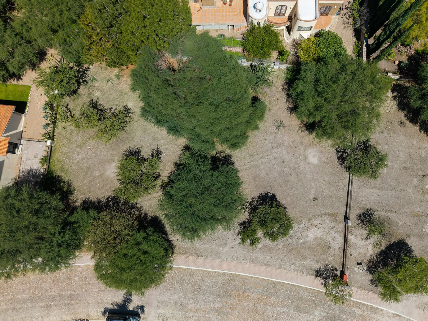 Aerial view of a vacant lot with scattered trees, brown ground, and houses in the background.