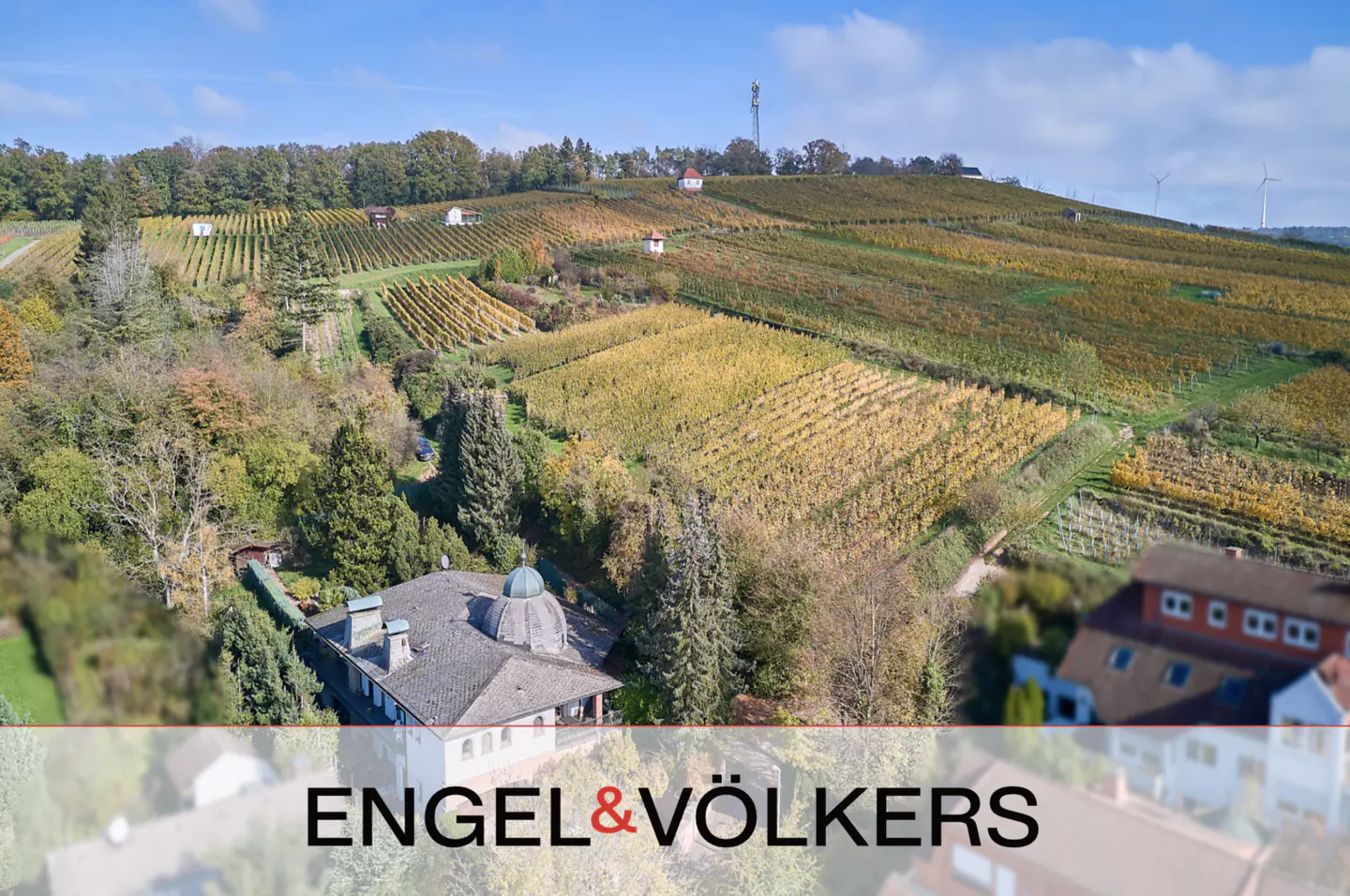 Aerial view of a vineyard with rows of grapevines on a hillside, a building with a dome roof, and the Engel & Völkers logo.