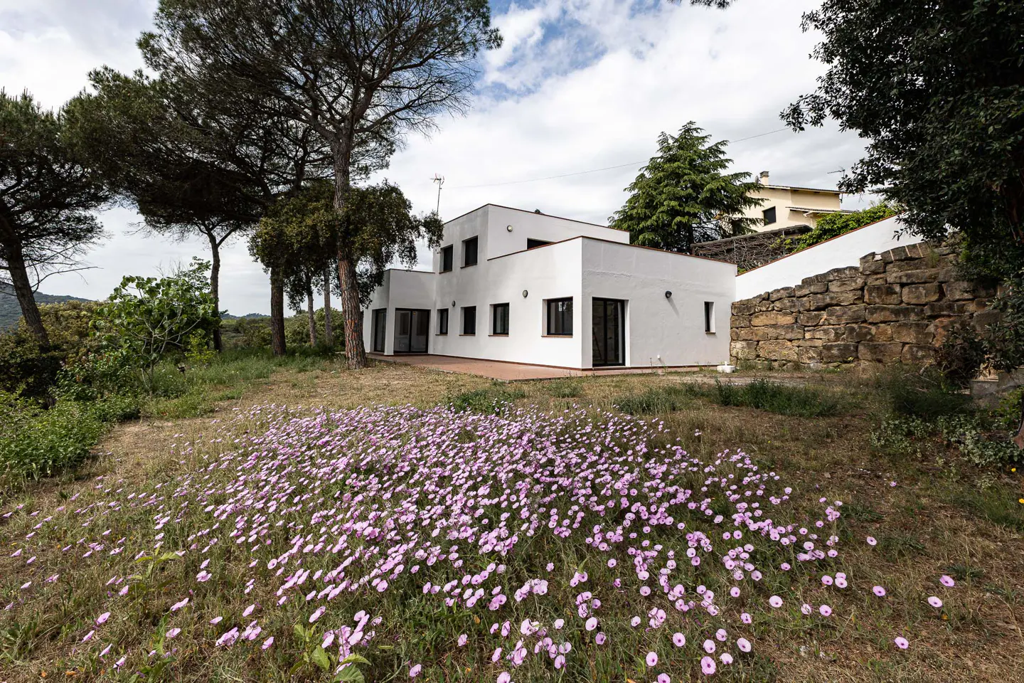 Modern white house with black framed windows, surrounded by a field of purple flowers and green trees.
