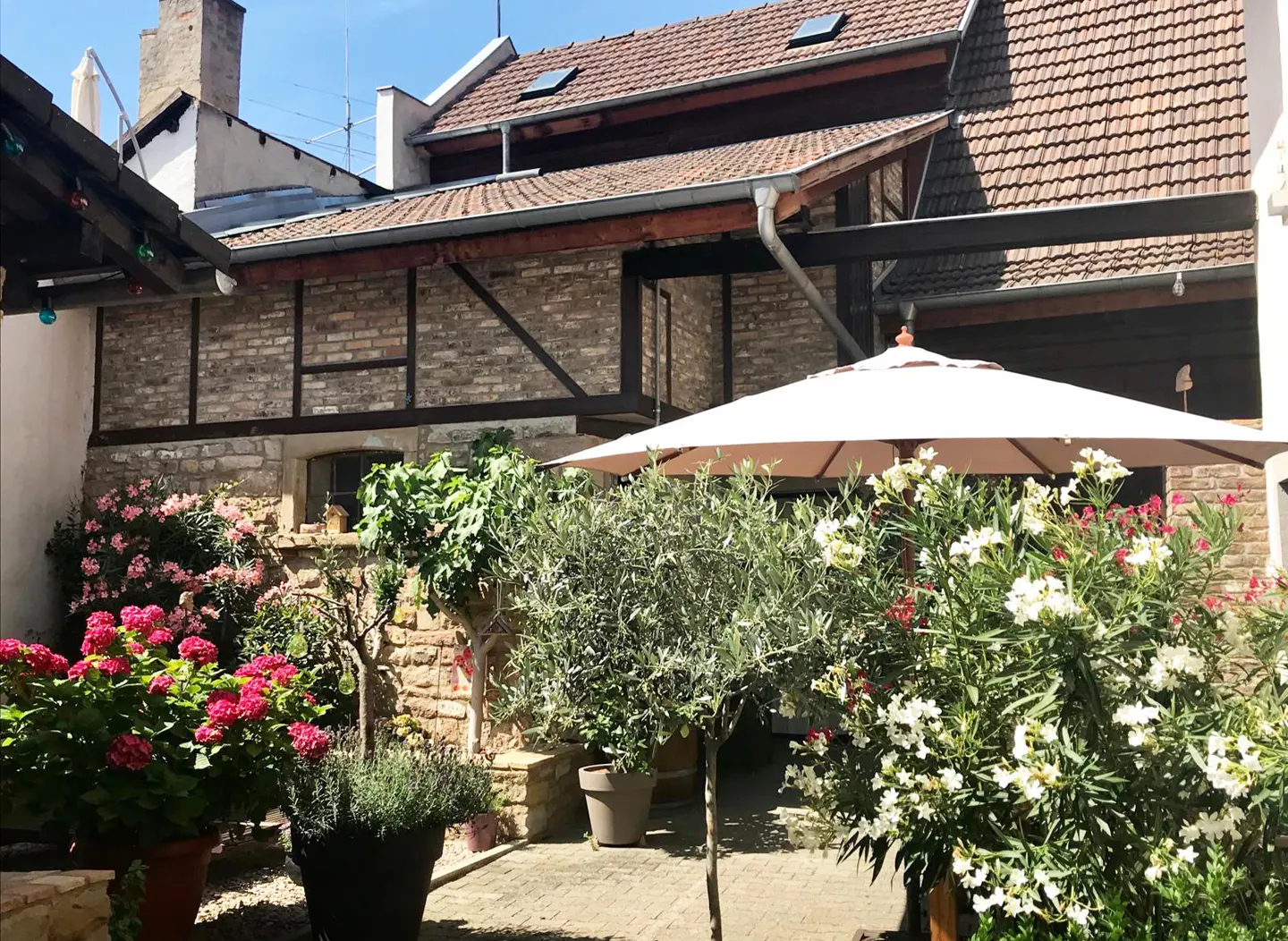 A charming courtyard with potted pink hydrangeas, white flowers, and olive trees. A tan umbrella provides shade near a brick and timber building.