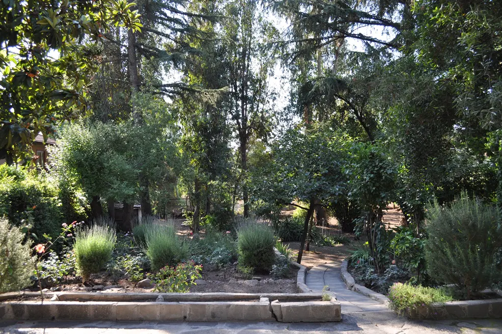 Lush garden with stone path. Green trees and bushes surround a stone-lined flower bed. A stone path leads into the greenery.