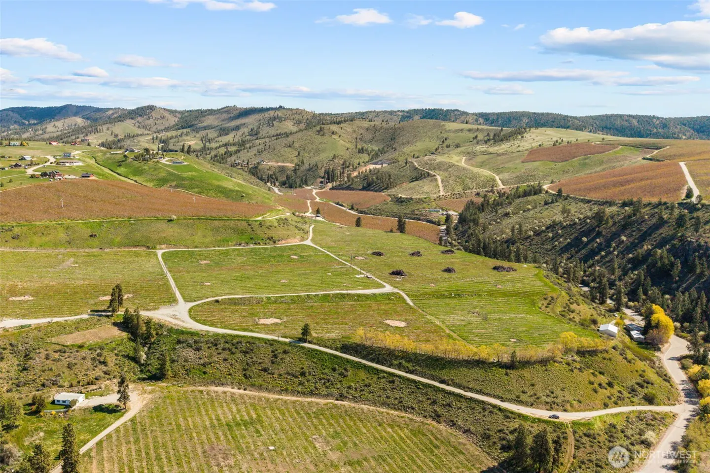 Aerial view of a green and brown vineyard landscape with rolling hills under a blue sky.