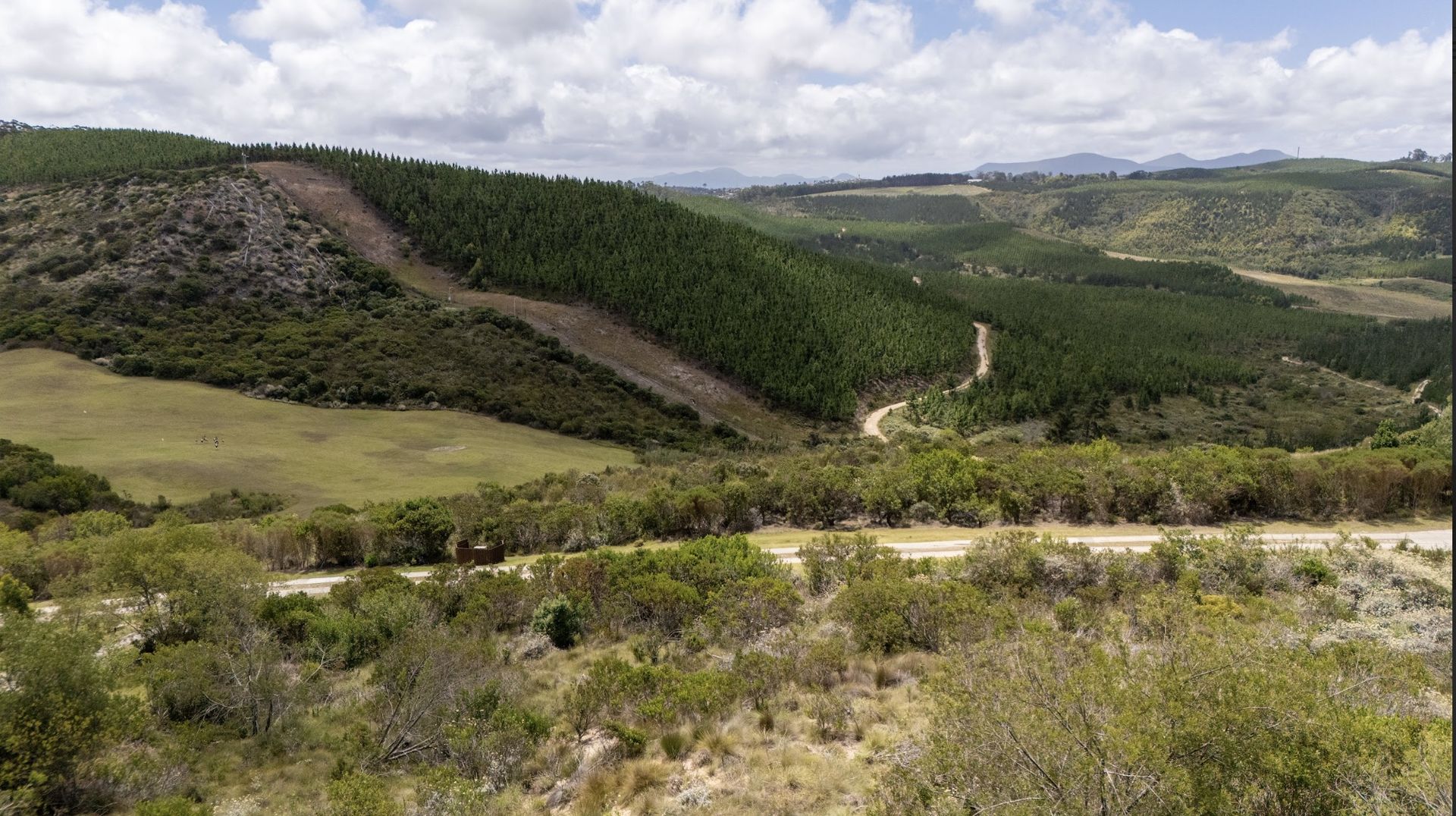 E106 Pezula Private Estate
