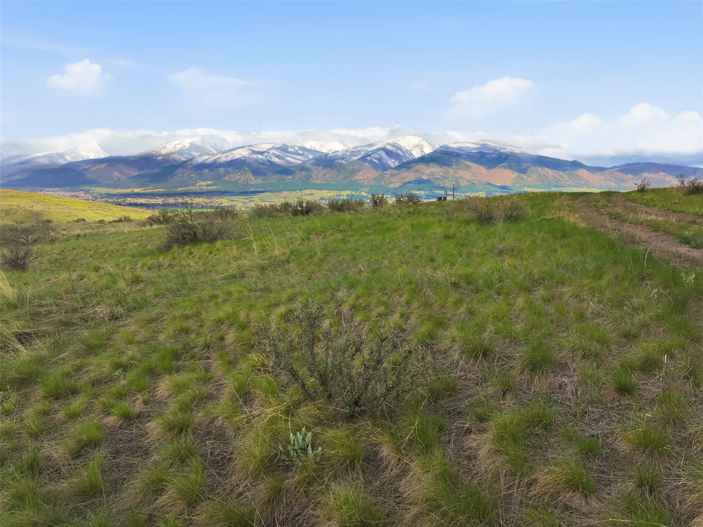 Scenic view of a grassy field with snow-capped mountains in the background under a blue sky.