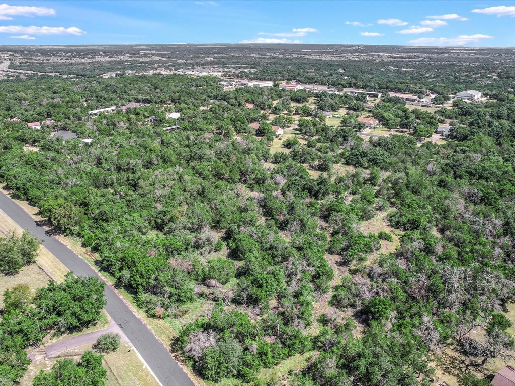 Secluded Wooded Lot with Endless Potential Near Georgetown