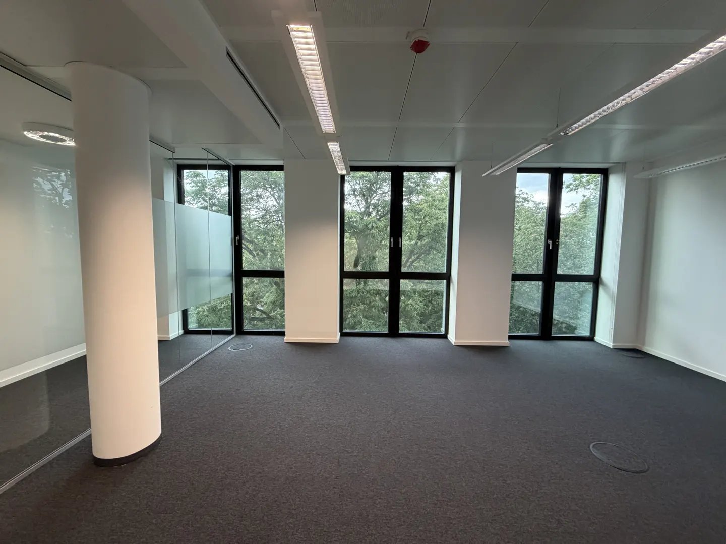 Empty office space with gray carpet, white walls, and black-framed windows showing trees outside. Overhead fluorescent lighting.