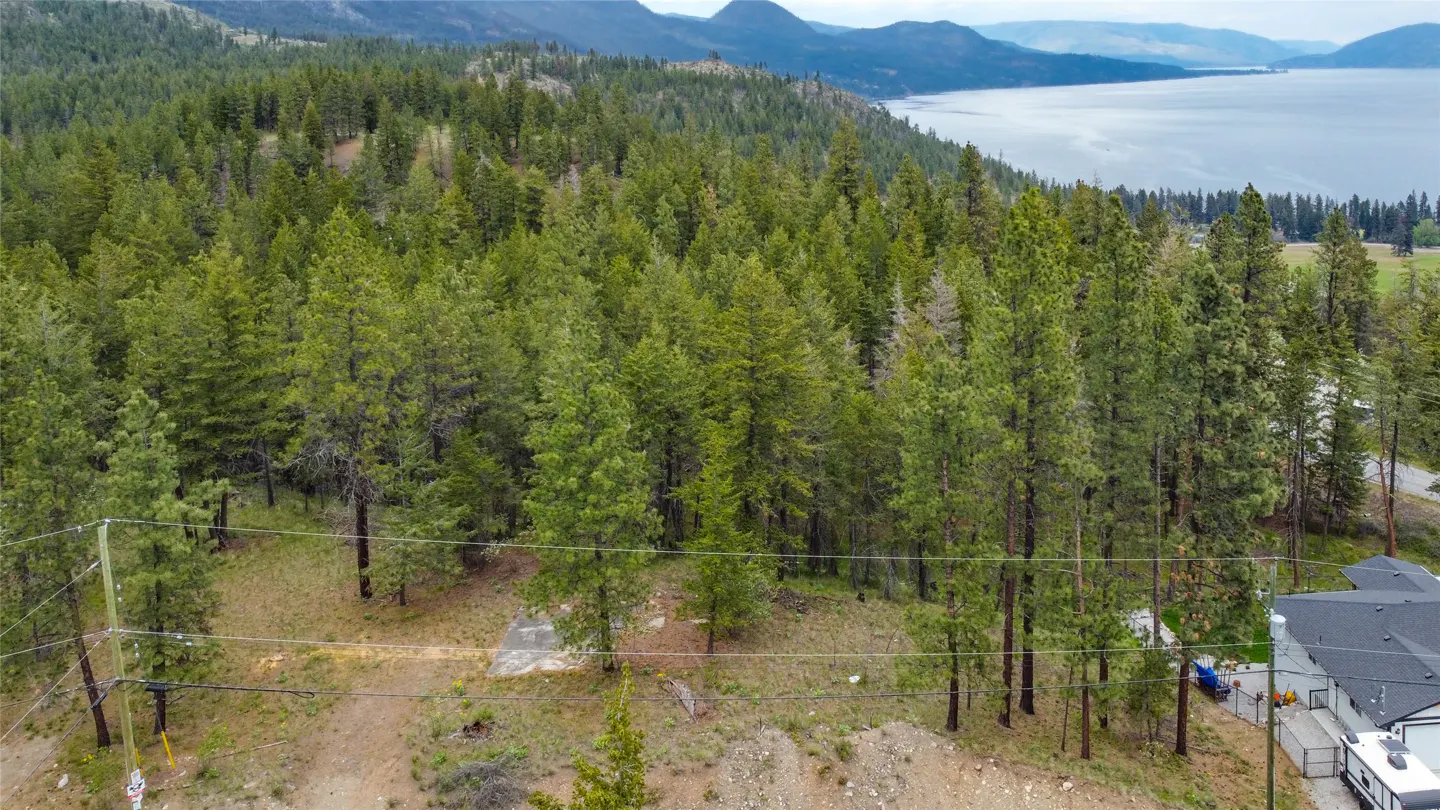 Aerial view of a wooded lot with tall green trees, a lake and mountains in the background. Power lines run across the foreground.