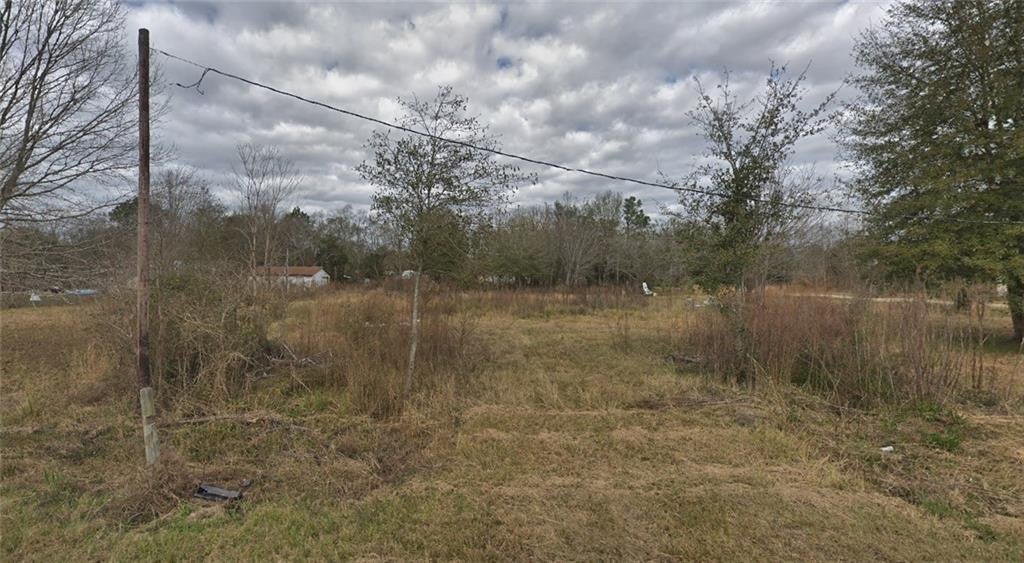 A vacant, grassy lot with tall, dry weeds, scattered trees, and a utility pole under a cloudy sky. [AI-generated text]