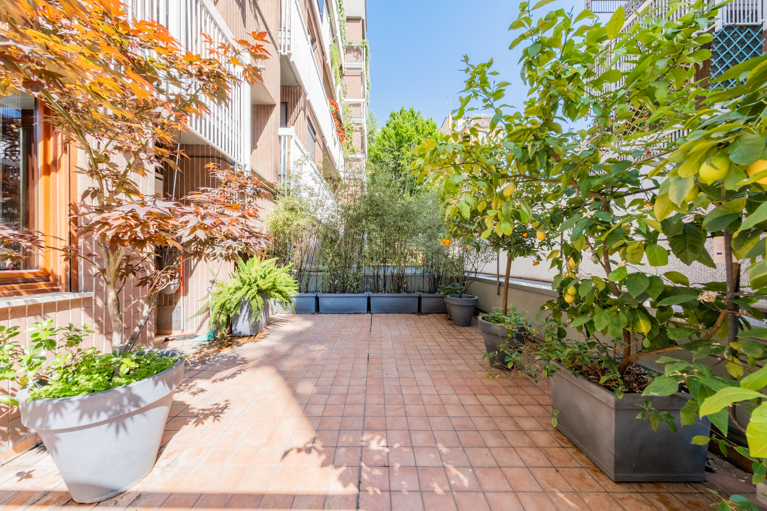 Elegante trilocale con terrazzo                                                                                       in via Poma