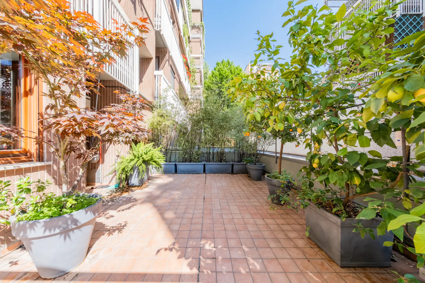 A sunny outdoor patio with potted plants and trees. The patio has terracotta tiles and is surrounded by greenery.
