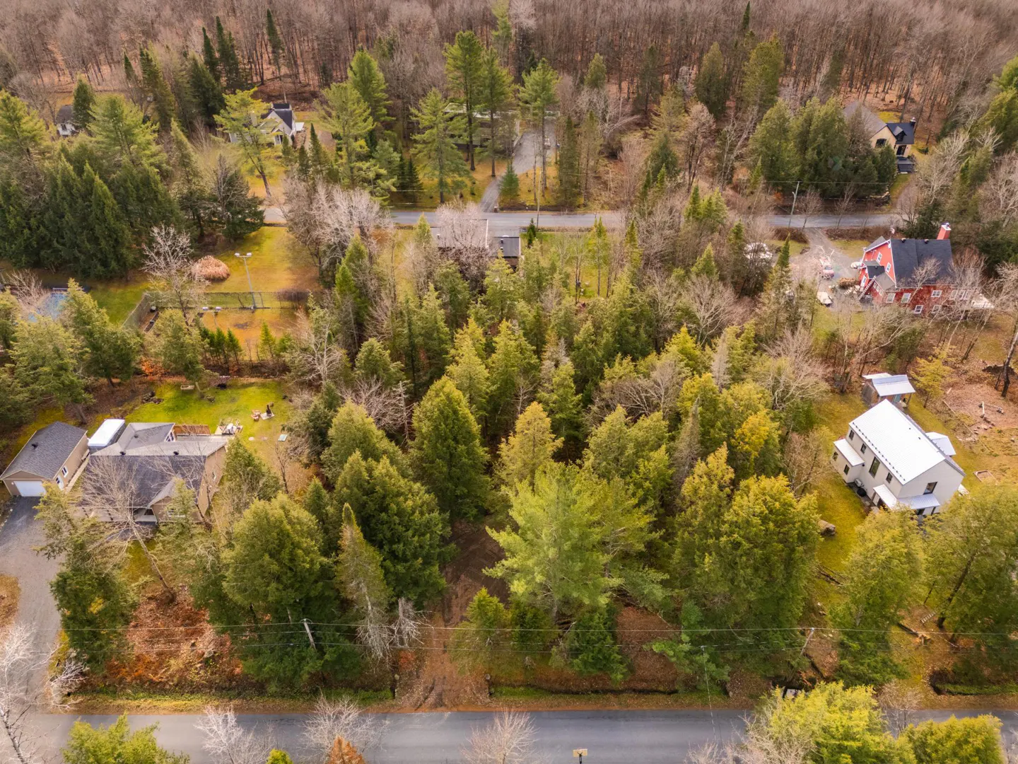 Aerial view of a wooded area with houses scattered among the trees, showcasing real estate opportunities.