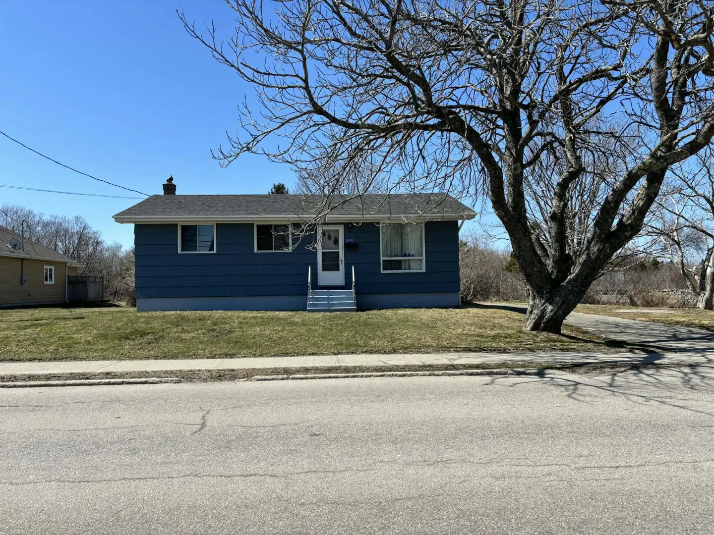 A blue single-story house with a white door and gray roof, framed by a large bare tree against a clear blue sky.