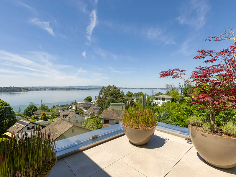 Sunny rooftop terrace with potted plants, overlooking a lake, houses, and a blue sky with light clouds.
