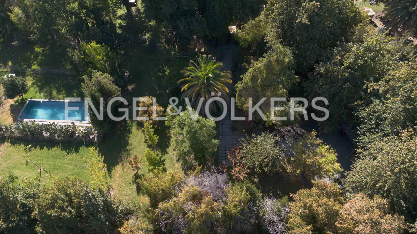Aerial view of a property with a pool, lawn, trees, and a palm tree. The Engel & Völkers logo is superimposed on the image.