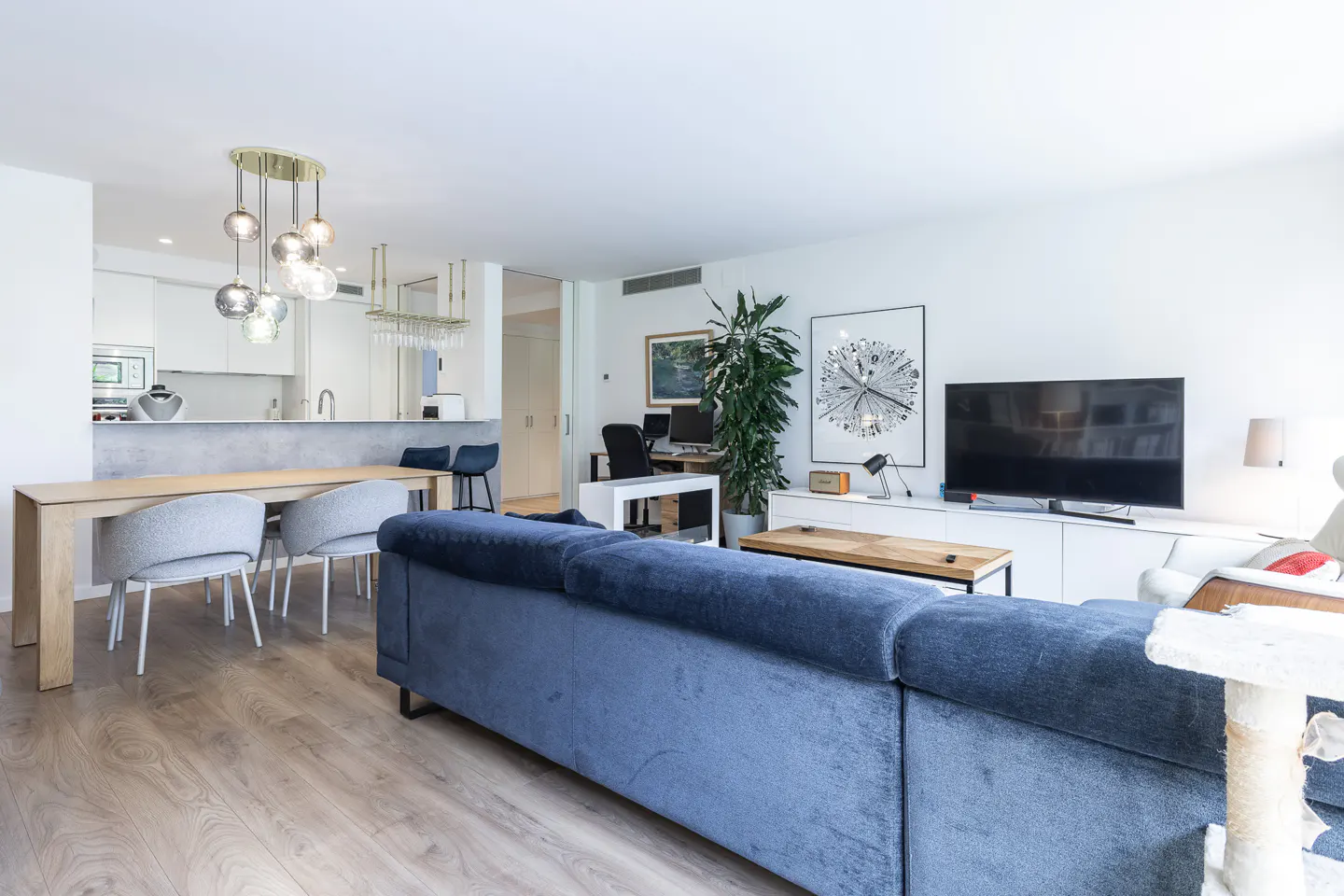Modern open-plan living room with a blue sectional sofa, dining area, kitchen, and a home office corner with a tall plant.