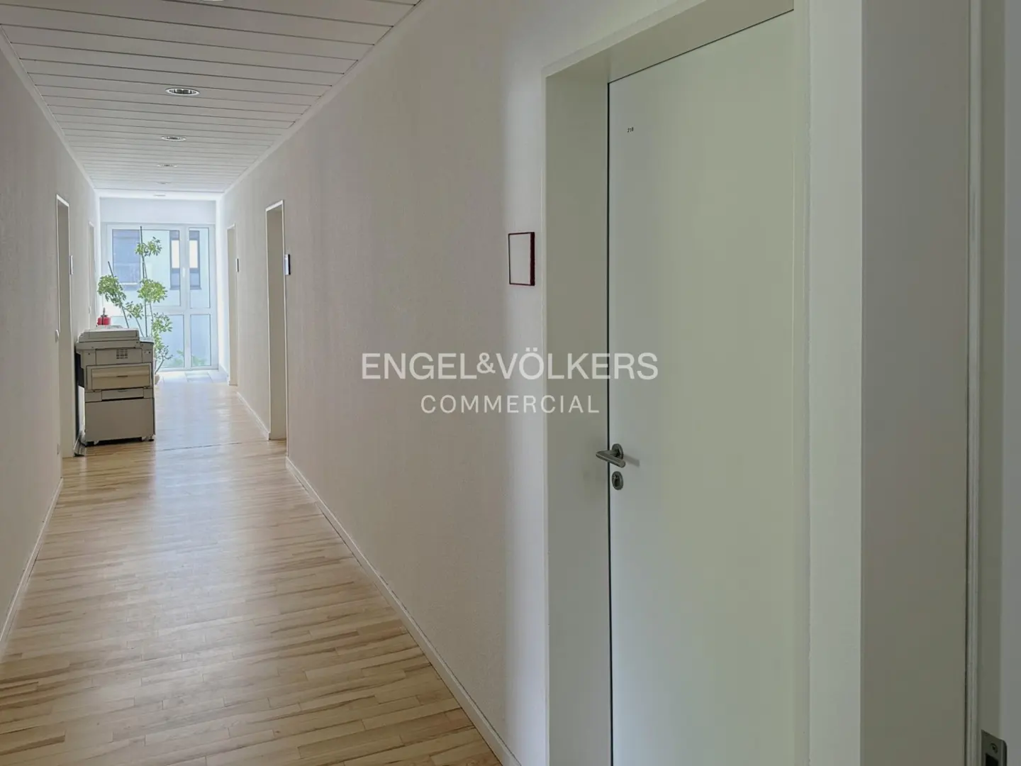 Bright office hallway with light wood floors, white walls, closed doors, and a printer near a window at the end.