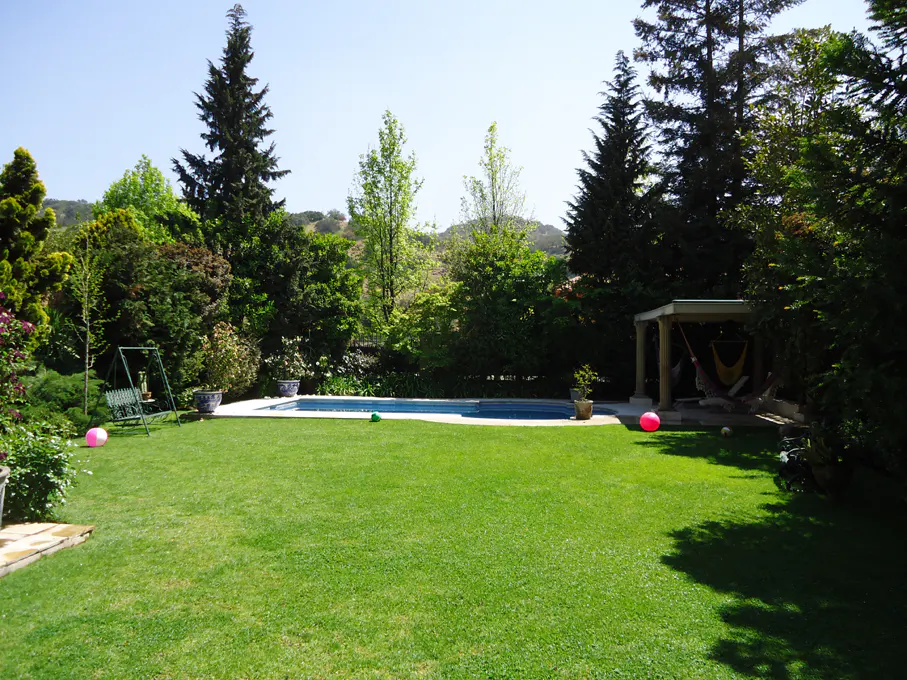 Lush green backyard with a pool, swing set, and covered patio with a hammock. Trees surround the yard.